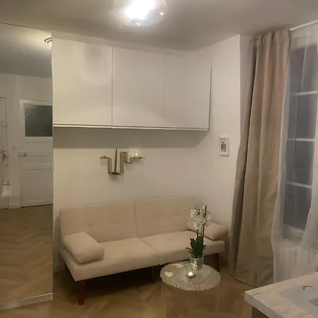 公寓 Perche Sur Les Toits, Avec Ascenseur, 16 Eme Quartier Calme Securise- Proche Quai Seine 巴黎